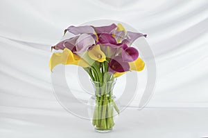 Yellow, pink and purple call lily flowers arranged in a vase