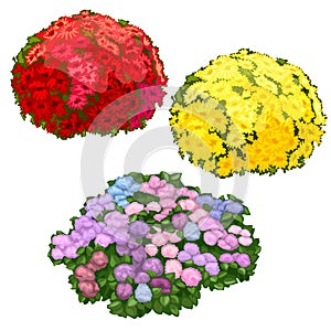 Yellow, pink and red flower beds isolated