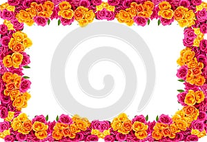 Yellow and pink roses frame