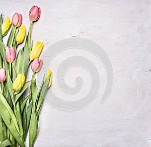   rosa primavera tulipani stabilito sul bianco di legno frontiere  il luogo di legno rurale vicino 