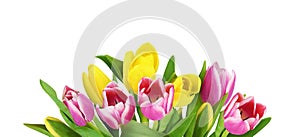 Yellow and pink tulip flowers in a floral arrangement isolated on white