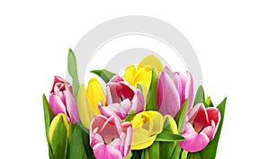 Yellow and pink tulip flowers in a floral arrangement isolated on white