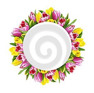Yellow and pink tulip flowers in a round floral frame isolated on white