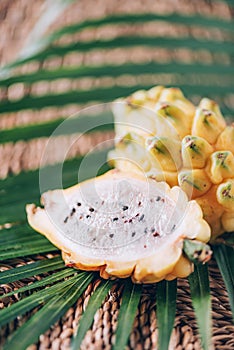 Yellow pitahaya pitaya or dragon fruit with palm leaves on rattan background. Copy space. Creative design banner. Summer time.