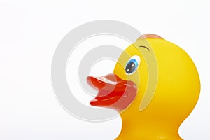 Yellow plastic bathtime duck