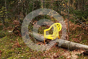 Yellow plastic chair without legs unexpectedly discovered in the middle of the forest photo