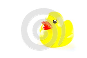 Yellow plastic duck.
