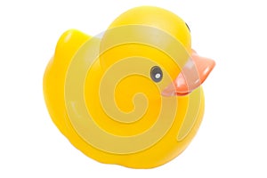 Yellow plastic duck