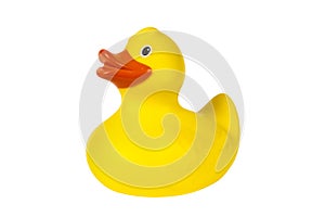 Yellow plastic rubber duck