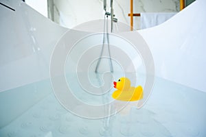 Yellow playful rubber duck float in the bathtub. Kids bath time concept. Funny toy for kits