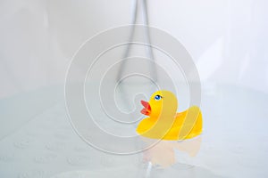 Yellow playful rubber duck float in the bathtub. Kids bath time concept. Funny toy for kits