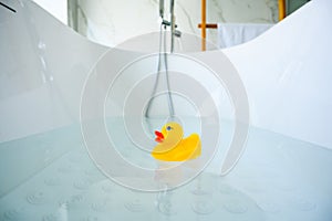 Yellow playful rubber duck float in the bathtub. Kids bath time concept. Funny toy for kits