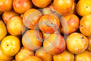 Yellow plum closeup