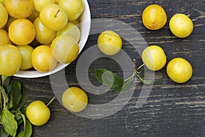 Yellow plum fruit
