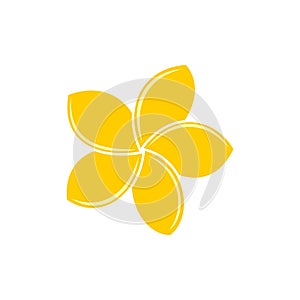 Yellow plumeria Frangipani flower Illustration Design. Vector EPS 10 photo