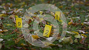 Yellow Police Forensics Markers on Grass with Falling Autumn Leaves