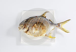 Yellow pomfret