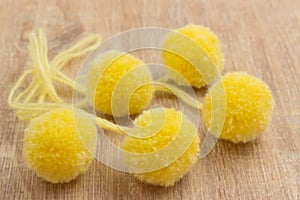 Yellow pompons