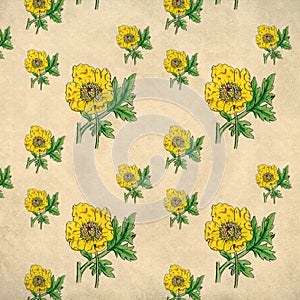 Yellow poppy flower vintage pattern