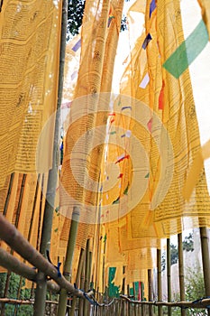 Yellow Prayer flags at Namchi in South Sikkim.