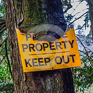 Yellow private property keep out sign buried in a tree