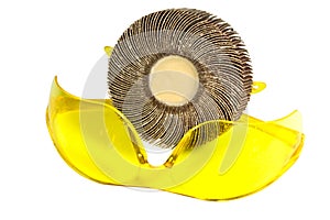 Yellow Protective Safety Glasses with Rotary Sanding Disc
