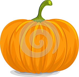 Yellow Pumpkin