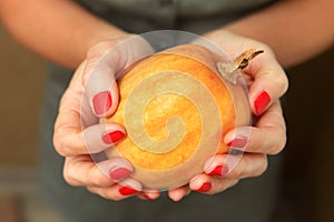 Yellow pumpkin in hands