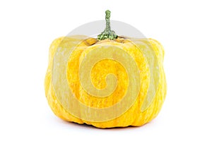 Yellow pumpkin mini miniature vegetable closeup bright vegetable on a white background base