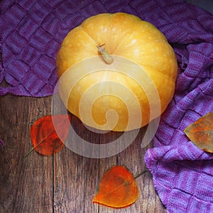 Yellow pumpkin, warm woolen scarf and autumn leaves on a wooden background.