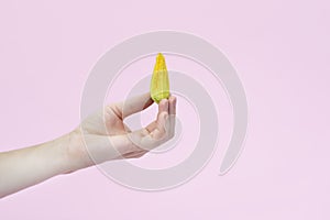 Yellow pumpkin or zucchini flowers in female hand isolated on pink background