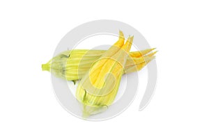 Yellow pumpkin and zucchini flowers isolated on white background