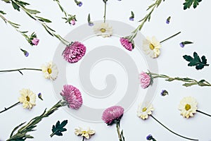 Yellow, purple and blue flowers on a white background