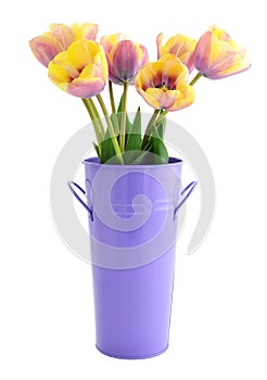 Yellow and purple tulips