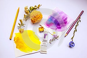 yellow and purple watercolor swatch cards. Theory.