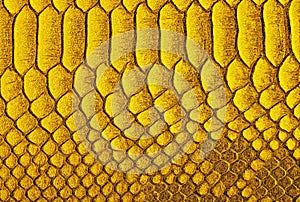 Yellow python skin background. Yellow reptile leather texture.