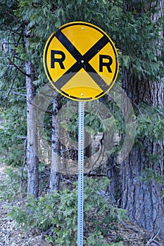 Yellow railroad crossing sign with pine tree background