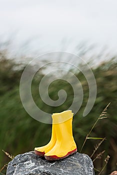 yellow rain boots on rock with waving grassweed blurred