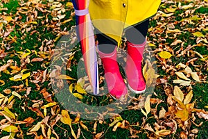 Yellow raincoat. Rubber pink boots against. Conceptual image of legs in boots on green grass