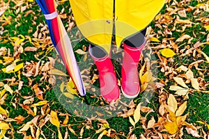 Yellow raincoat. Rubber pink boots against. Conceptual image of legs in boots on green grass