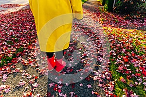 Yellow raincoat. Rubber pink boots against. Conceptual image of legs in boots on green grass