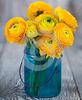 Yellow ranunculus in vase