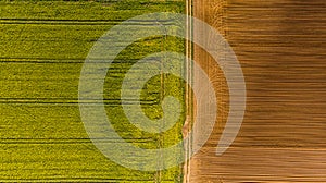 Yellow rape fields and plow soil, aerial drone view