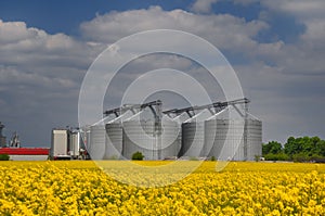 Yellow seed field with silos