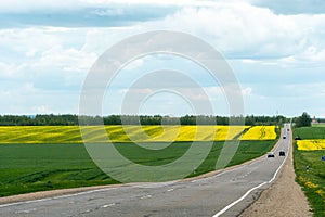 Yellow rapeseed field. A dirt rural road runs next to a beautiful rapeseed field. Cultivation of rapeseed and surepitsa in poor