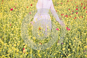 Yellow rapeseed meadow with red poppy flowers