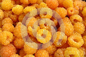 Yellow raspberries in full frame.