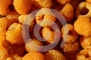 Yellow raspberry