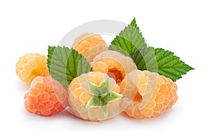 Yellow raspberry berries on white