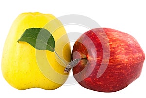 Yellow and red apple with green leaf